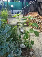 IMG_20230626_165832.webp