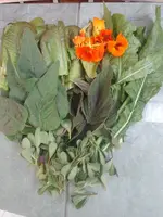 IMG_20230626_195543.webp