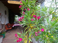 DSC03067.JPG