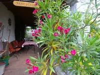 DSC03067.JPG