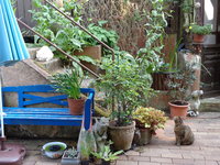 DSC00704.JPG