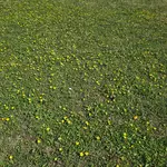 20230625_101506.webp