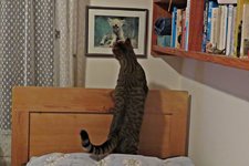 IMG_9863 - Copy.JPG
