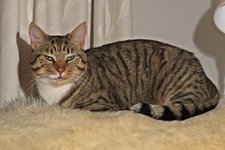 IMG_9929 - Copy.JPG
