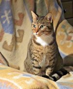 IMG_9867 - Copy.JPG