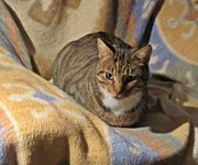 IMG_9869 - Copy.JPG