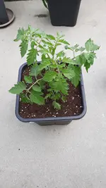 20230627_140216.webp