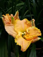 20230627_105726.webp