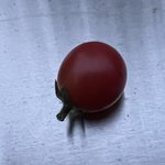 IMG_6364.jpeg