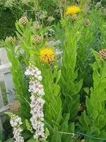 20230628_061218.webp