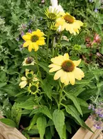 IMG_20230627_102737.webp