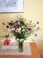IMG_20230627_170818.webp