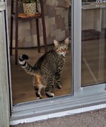 IMG_6034 - Copy.JPG