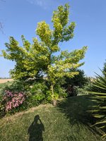 PXL_20230628_060219797.jpg