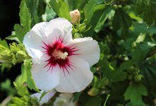 IMG_5903.JPG