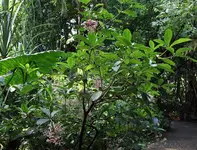 2014ZooZue4.webp