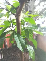 IMG_20230626_161239.webp