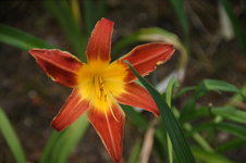DSC00687.JPG