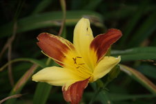 DSC00689.JPG