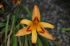 DSC00690.JPG
