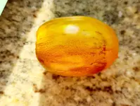 20230628_190812.jpg