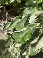 IMG_9112.jpeg
