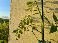 20230628_200058.webp