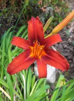 20230628_194728.webp