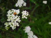 IMG_20230628_130244.webp