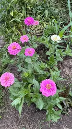 IMG_6368.webp