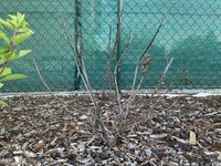 IMG_5101.jpeg