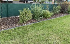 IMG_5100.jpeg