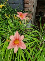 20230628_163257.jpg