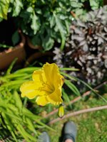 20230623_115016.jpg