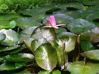 IMG_20230628_135800.webp