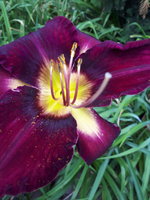 20230628_121907.jpg