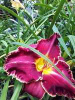 20230628_120905.jpg