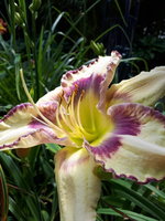 20230628_120944.jpg