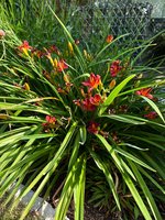 IMG_9219.jpeg