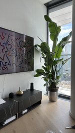 IMG_6475.jpeg
