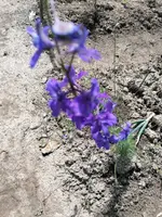 IMG_20230629_135042.webp