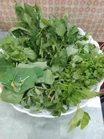 IMG_20230629_154931.webp