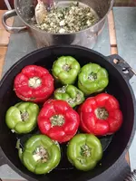 IMG_20230629_175938.webp