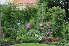 Juni     9923.JPG l.webp