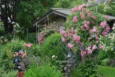 Juni     9923.JPG m.webp