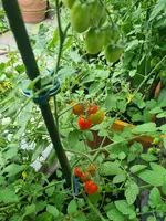 20230630_160315.webp