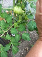 20230630_175526.webp