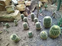 IMG_20220909_144012.webp