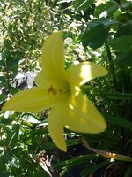 IMG_20230624_092710.jpg