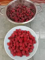 IMG_20230627_121744.webp